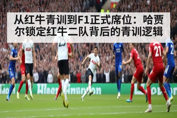 从红牛青训到F1正式席位：哈贾尔锁定红牛二队背后的青训逻辑 | kaiyun