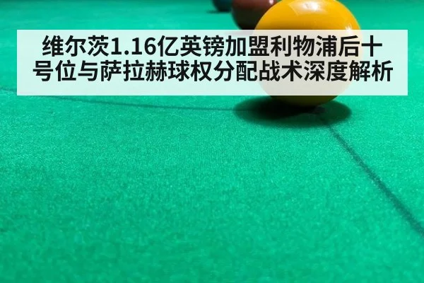 维尔茨1.16亿英镑加盟利物浦后十号位与萨拉赫球权分配战术深度解析 | kaiyun